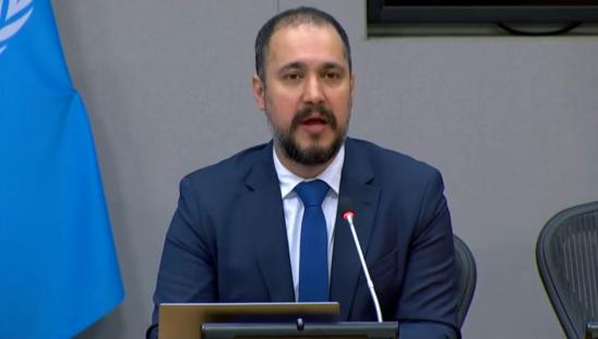 Professor Kaveh Madani